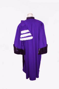 Tenue Doctorale Violette 3