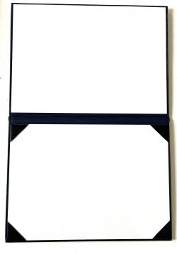 Inseec - Porte diplôme